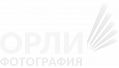 Орли Фотография